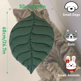 REGODI Reversible Fluffy Cat Bed Mat & Dog Bed Mat - Ultra Soft Non-Slip Pet Mat, Washable Indoor Cat Beds for Indoor Cats, Cute Cartoon Thermal Bed Like Squishmallow Pet Bed