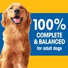 PEDIGREE Complete Nutrition Adult Dry Dog Food Roasted Chicken, Rice