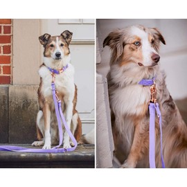 Soft Leather Dog Collar and Leash (6.6') Set - Stylish Rose Gold Heavy Duty Metal Buckle, 4 Adjustable Lengths Leash for Small Medium Large Dogs - Comfortable & Easy to Clean (M, Light Purple)