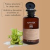 Apivita | Shampoo Contra las Caspas Secas 250ML