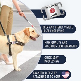 Leash King Surgical Stainless Steel K9 Pet ID Jewelry Tag - Slide on Dog Collar or Harness Quickly and Securely – No Noise, Durable - Stylish & Comfortable - Perfect for Dogs & Cats/Small