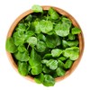 Outsidepride Watercress Herb Plant Seeds - 5000 Seeds
