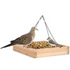 Wild Wings WWCF23 Rot Resistant Cedar Hanging Tray Bird Feeder
