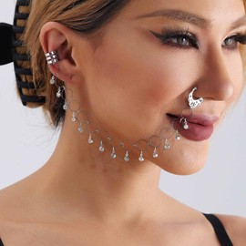 Inateannal Punk Nose Ring Chain Crystal Tassel Chain Nose Ring Silver Tassel Dangle Nose Ring Hoop Fake Nose to Ear Chain with Earrings Indian Jewelry for Women Girls