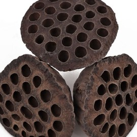 Donguihanjae 동의한재 특대 국산 연방 20송이 Korean Native Large Domestic 20 Flowered Chrysanthemum