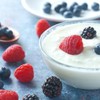 Phoenix Fungi Skyr Yogurt Starter Culture – Live Beneficial Bacteria