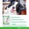 Ruiland® Vetri Cofactor 60 Tabletas Vitaminas Para Perro