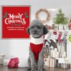 PETCARE Christmas Pet Dog Sweater Holiday Classic ugly Apparel Jumper