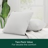 AllerEase Cotton Fresh Pillow, Euro - 2 Pack