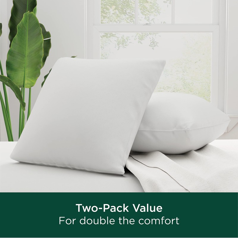 AllerEase Cotton Fresh Pillow, Euro - 2 Pack