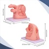 2Pcs Catheterization Model Male Female, Catheter Model Internal External Genital