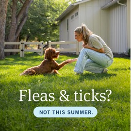 PetArmor Plus Flea and Tick Prevention for Dogs, Dog Flea and Tick Treatment, 1 Dose, Waterproof Topical, Fast Acting, Large Dogs (45-88 lbs)