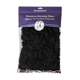 Super Moss (23151 Reindeer Moss Preserved, Black, 8oz