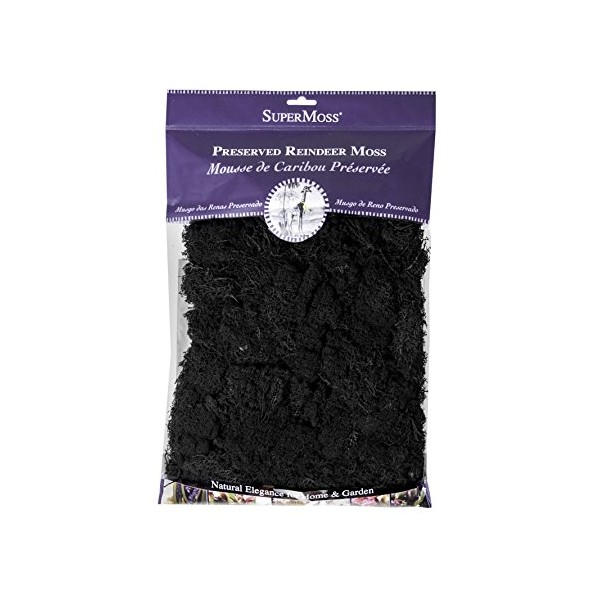 Super Moss (23151 Reindeer Moss Preserved, Black, 8oz