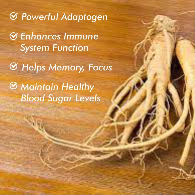 Vitaminnica Because your Health Matters Vitaminnica Siberian Ginseng 500mg 5:1