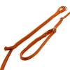 Dino Slip Lead Length Adjustable, Includes Standard Brass Snap Hook