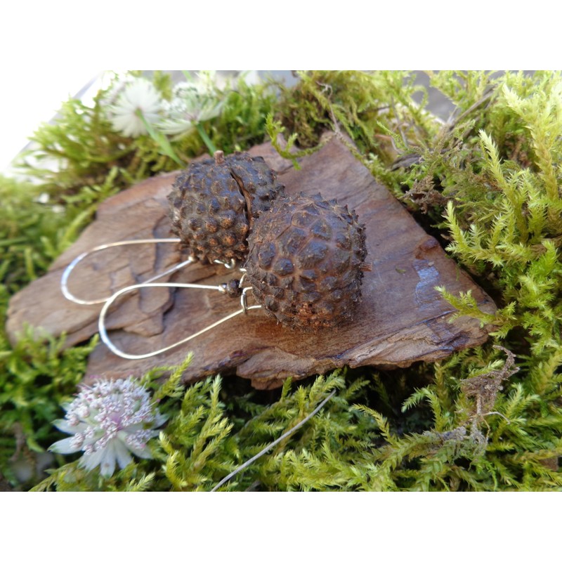 ⊱✿ EXOTISCHE BAUMNUSS OHRRINGE IN DUNKELBRAUN✿⊰⊹ lange Kidney - Haken