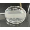 Myco Labs Microppose Petri Dishes, 90mm x 15mm, Vented Lid,