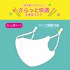 Sanrio Mask Series 3D Fashion Mask Wish Meemel (For Adults)