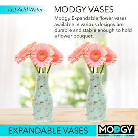 MODGY Expandable Flower Vase, Plastic Decorative Modern Foldable Printed Vases for Centerpieces for Wedding, Dining Table, Home Decor, Living Room, Bathroom, Office, PinkyDo, 2 Pack