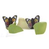 Boxer Gifts Hatch Your Own Butterfly Children’s Toy | Grows