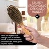 SHASH Everyday 100% Boar Bristle Hair Brush - Made in