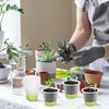 Clear Nursery Pots for Plants,30 Packs 4 inch Plastic Plant