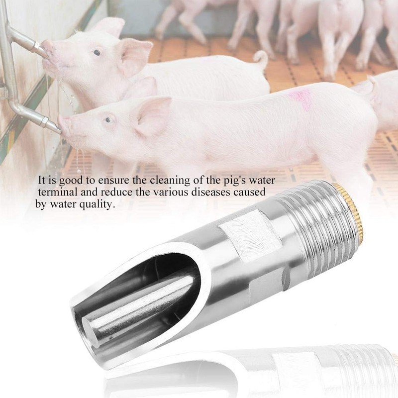 Golden Pearl 5pc 1/2 NPT Stainless Steel Automatic Pig Nipple