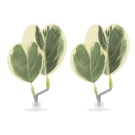 CAPASTEC Betta Fish Bed, Betta Leaf Bed, Plastic Betta Hammock, Betta Hammock Pad W/Suction Cup, Betta Heart-Shaped Leaf Bed Aquarium Decor, Yellow Green 2Pcs