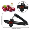 Cherry Pitter / Cherry Stone Remover / Stainless Steel Corer