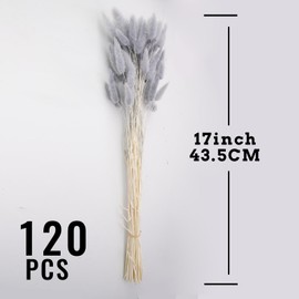 120pcs Gray Bunny Tail Pampas Grass Dried Flowers for Vase Boho Flowers Dried Babys Breath Wedding Decor Dry Flowers for Vase (Gray 120 PCS)