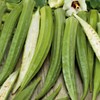 Eden Brothers Okra Seeds - Cow Horn Non-GMO Seeds for