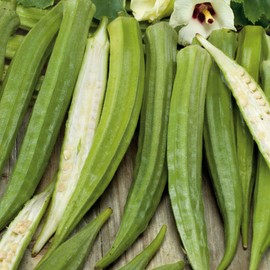 Eden Brothers Okra Seeds - Cow Horn Non-GMO Seeds for Planting, 1 Pound | Low-Maintenance Vegetable Seeds, Plant During Warm Season, Zones 10, 2, 3, 4, 5, 6, 7, 8, 9