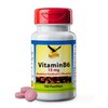 Get UP® Vitamin B6 15 mg als Pyridoxal-5‘-Phosphat - 100