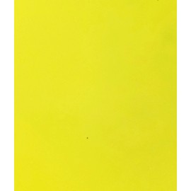 US Marine Products LLC Fluorescent Lobster Buoy Paint Saturn Yellow Quart by US Marine Products LLC