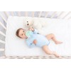 Lilly Belly CloudSoft 100% Organic Cotton Fitted Crib Sheets |