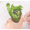 Lefipet Herb Stripper,Stainless Steel Kitchen Herb Leaf Stripping Tool with