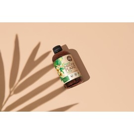 Organic Indoor Plant Food - All-Purpose Liquid Fertilizer - Best for Live Houseplants Indoors + Common Home Outdoor Plants in Pots (8 oz)