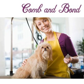 Dog Comb Pet Grooming Brush for Cats Puppy Greyhound with Medium/Coarse Fur Easy Grip Dematting Combs with Different-Spaced Rounded Stainless Steel Teeth - Silver