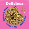 Alyssa's Gluten Free Oatmeal Cookies - Pack of 4
