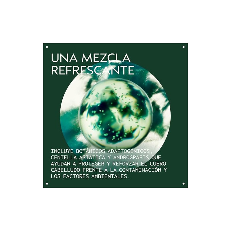Aveda Scalp Solutions Refreshing Protective Mist Bruma | Refresca y
