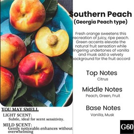 2 Pack Pick 80+Scents Car Air Freshener Hanging Car Diffuser Made in USA Last for 120 Days:_G60: Southern Peach（Georgia Peach Type）