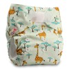 Littles & Bloomz, Reusable Pocket Cloth Nappy, Fastener: Hook-Loop, Set