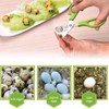 Quail Egg Scissors, Stainless Steel Quail Egg Scissors, Stainless Steel