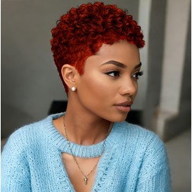 Sirukou Hair Short Curly Afro Wigs Kinky Curly Hair Synthetic Wigs For Black Women Natural Short Hair Wig Short Kinky Curly Afro Wigs For Women Heat Resistant Wigs (D-1116B)