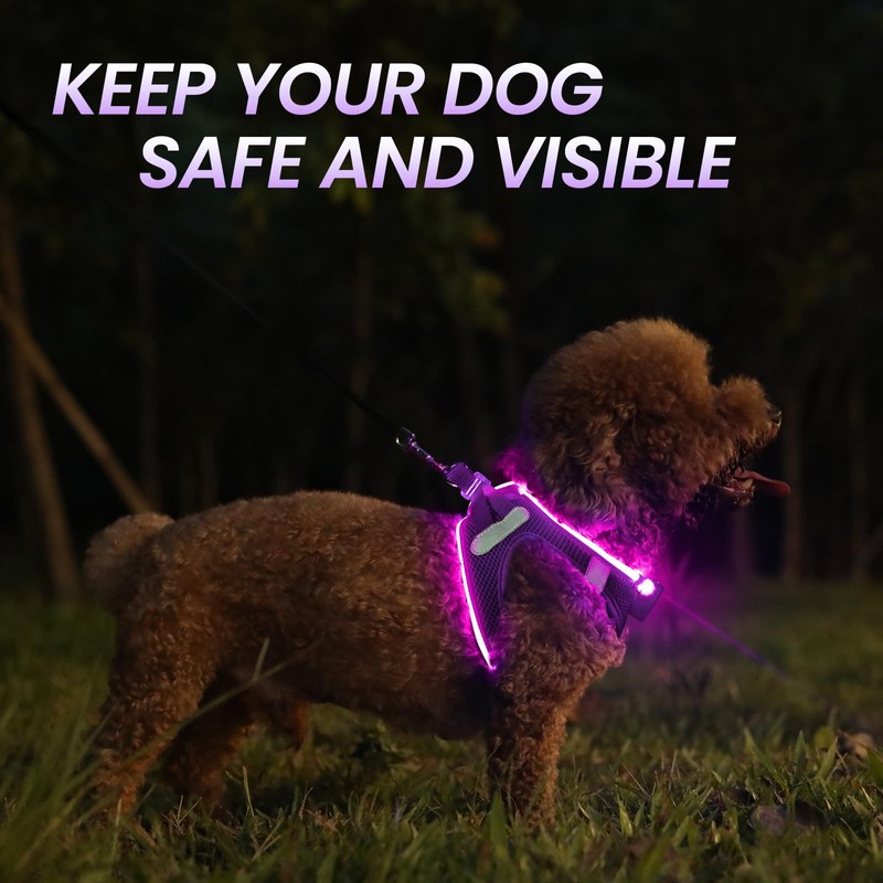 PcEoTllar Light Up Dog Harness, LED Dog Harness for Puppy