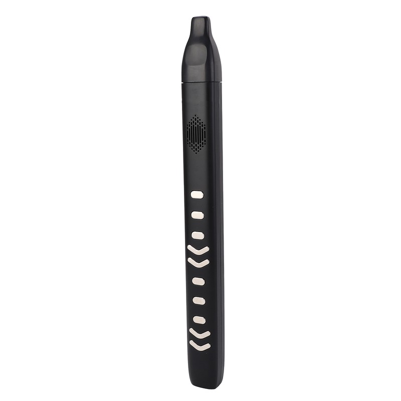 Electric Blowpipe 10 Timbre Mini Portable Rechargeable Detachable Digital Wind