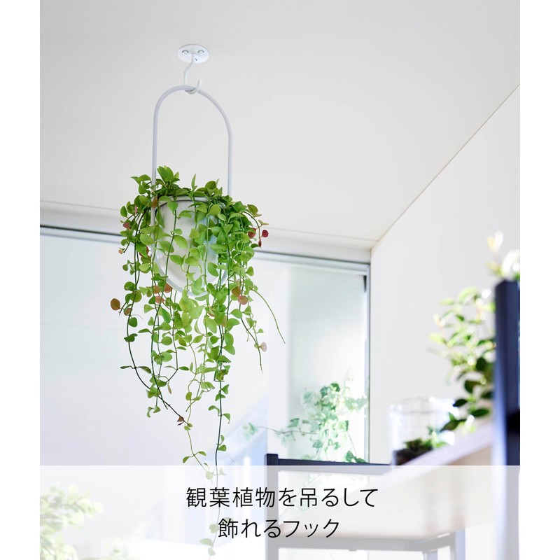 Yamazaki Industries 10227 Gypsum Board Tweezers Included Ceiling Hanging Planter