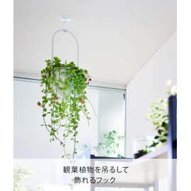 Yamazaki Industries 10227 Gypsum Board Tweezers Included Ceiling Hanging Planter Hook for Gypsum Board Walls, White, W 2.4 x D 2.4 x H 3.2 inches (6 x 6 x 8.2 cm), Tower Hanging Hook, Ceiling Hook