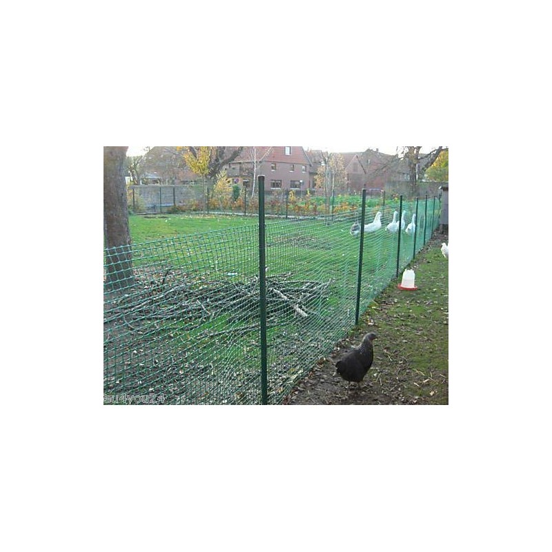 Plastic Fence 0.5 m Height Mesh 40 mm Poultry Goose